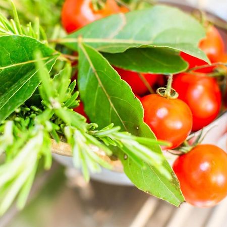 Piattellina Five Senses Lägenhet Florens Exteriör bild